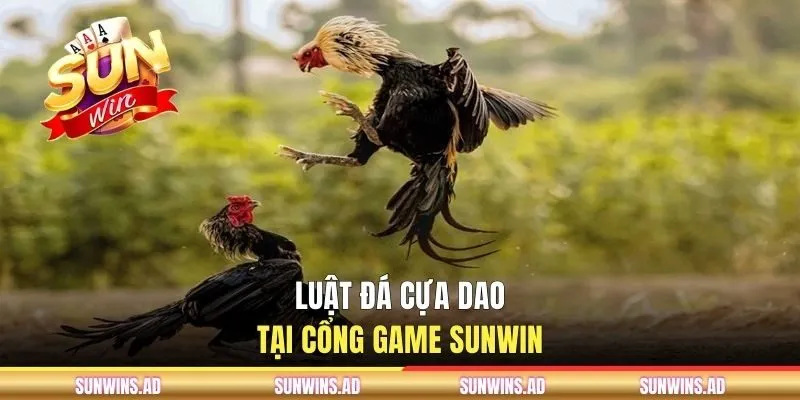 Thăng Hoa Cùng Đá Gà Cựa Dao Tại Cổng Game SUNWIN 2 Luật đá cựa dao tại cổng game SUNWIN
