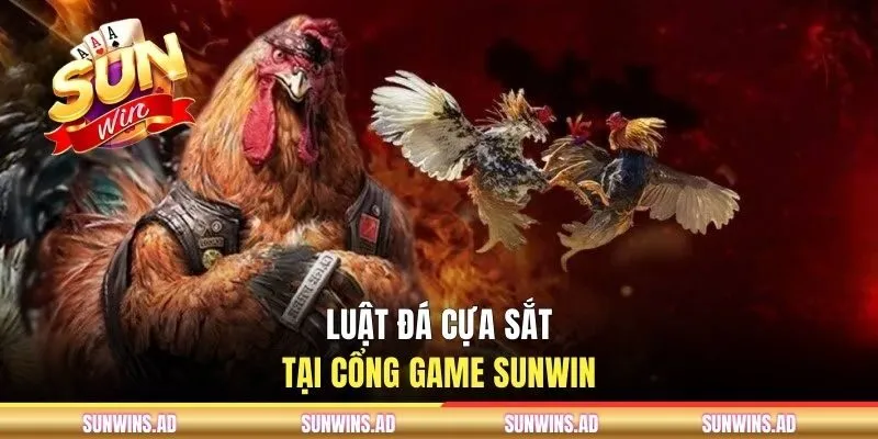Đá Gà Cựa Sắt - Cách Chọn Chiến Kê Tại Cổng Game SUNWIN 2 Luật đá cựa sắt tại cổng game SUNWIN