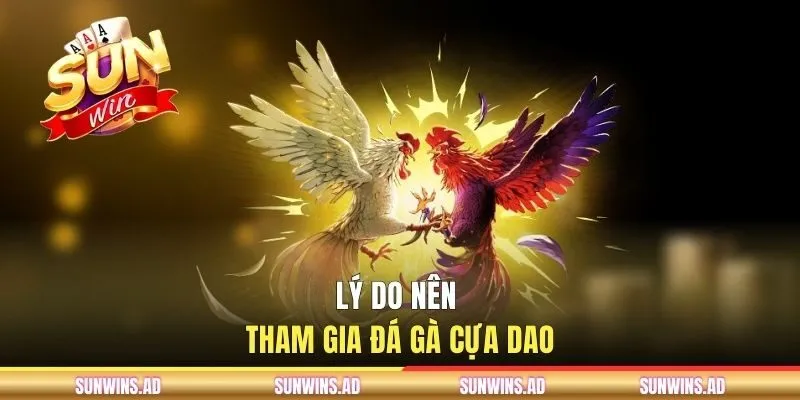 Thăng Hoa Cùng Đá Gà Cựa Dao Tại Cổng Game SUNWIN 3 Lý do nên tham gia đá gà cựa dao?