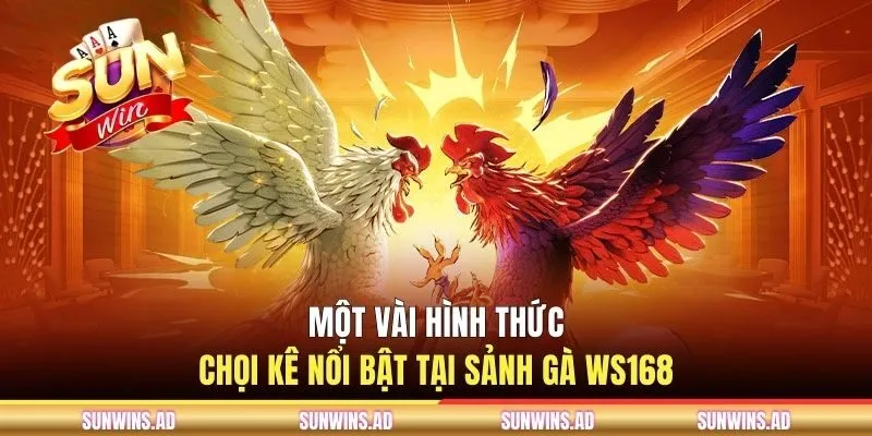 Sảnh Gà WS168 - Nền Tảng Live Stream Chọi Kê Độc Quyền 3 Một vài hình thức chọi kê nổi bật tại sảnh gà WS168