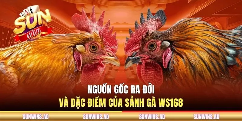 Sảnh Gà WS168 - Nền Tảng Live Stream Chọi Kê Độc Quyền 1 Nguồn gốc ra đời và đặc điểm của sảnh gà WS168