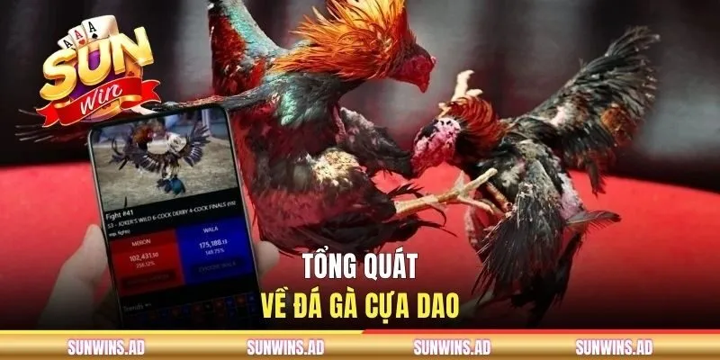 Thăng Hoa Cùng Đá Gà Cựa Dao Tại Cổng Game SUNWIN 1 Tổng quát về đá gà cựa dao
