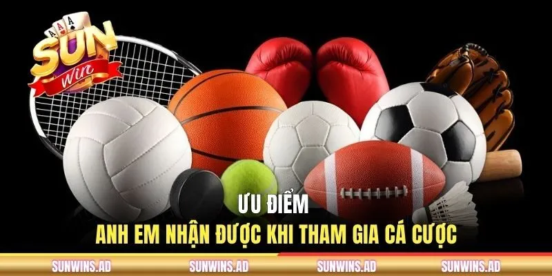 BTI Sports SUNWIN | Sảnh Kèo Cược Thể Thao Uy Tín 2026 2 Ưu điểm anh em nhận được khi tham gia cá cược